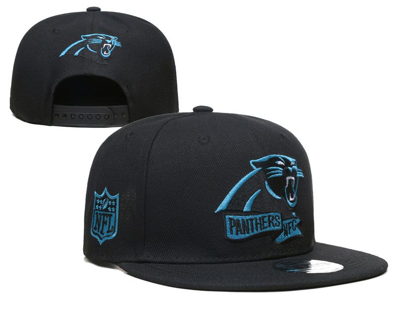 2022 NFL Carolina Panthers Hat YS1020->nfl hats->Sports Caps